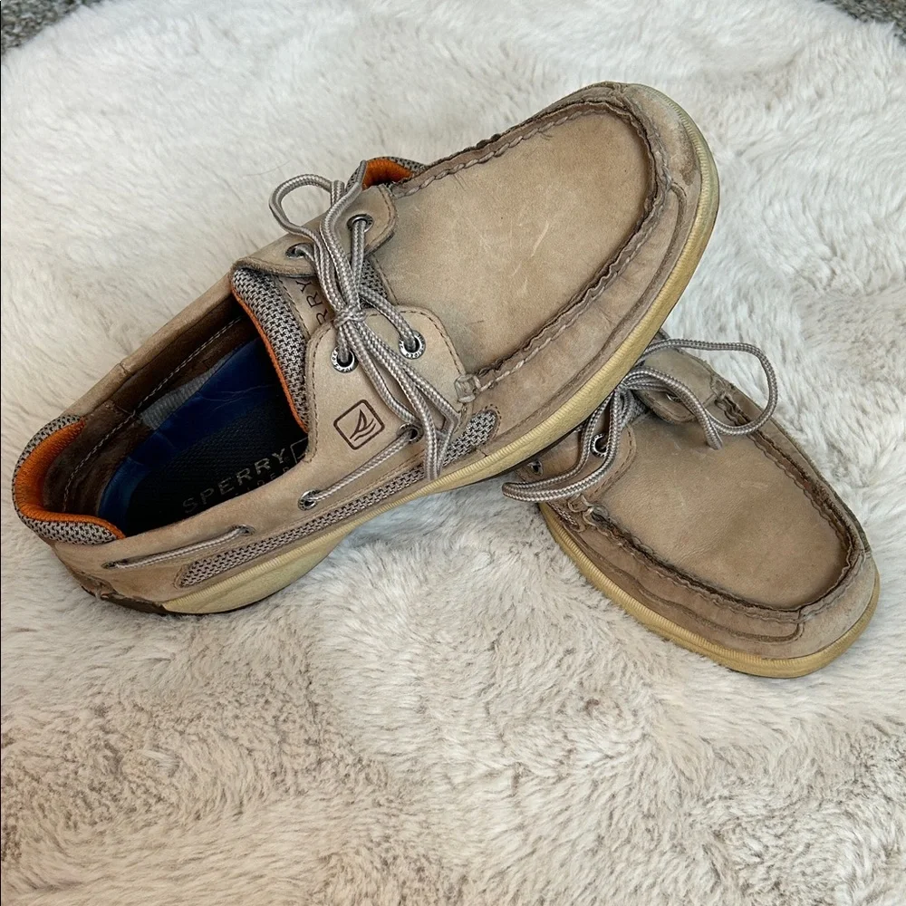 Sperry Men's Beige and Gray Boat Shoes